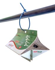 Závěsný monitor Easy Trap vč. feromonu na potravinové moly P-04078PP