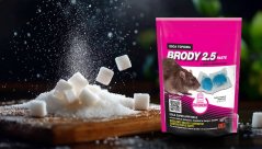 Brody 2.5 pasta 150g - Cukr