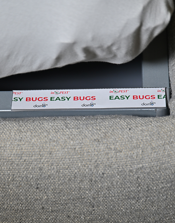 Easy bug - Lepicí past na štěnice 10ks