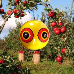 Odpuzovač ptáků 3D balón 3 ks